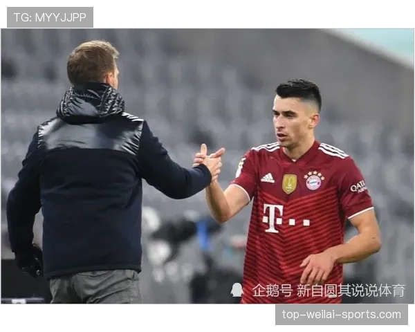 基米希与罗德里：后腰组织核心的球权集中度差异解析