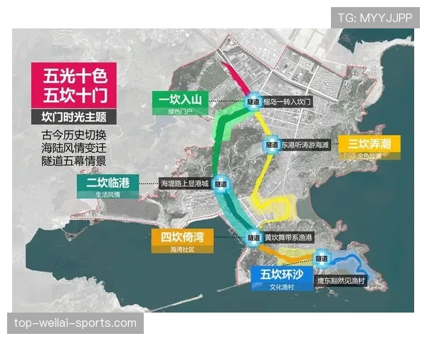 J组竞争格局全面解读 J组竞争格局全面解读
